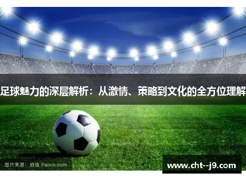 足球魅力的深层解析：从激情、策略到文化的全方位理解