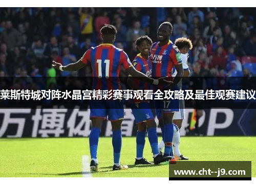 莱斯特城对阵水晶宫精彩赛事观看全攻略及最佳观赛建议