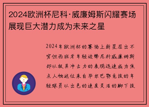 2024欧洲杯尼科·威廉姆斯闪耀赛场展现巨大潜力成为未来之星